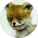 temerario 58 profile picture