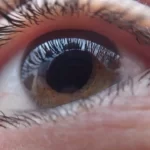 La Dieta de Tus Ojos: Alimentos muy buenos para la vista.